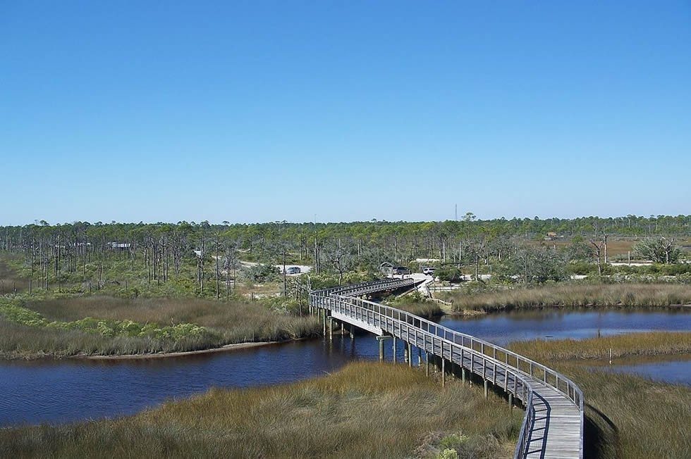 Pensacola FL Big Lagoon SP from obs tower
