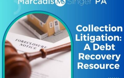 Collection Litigation: A Debt Recovery Resource