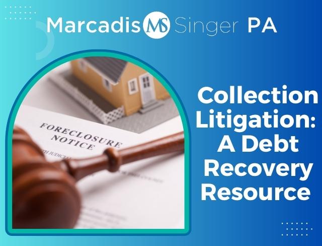 Collection Litigation: A Debt Recovery Resource