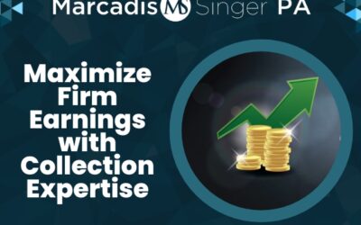 Maximize Firm Earnings with Collection Expertise